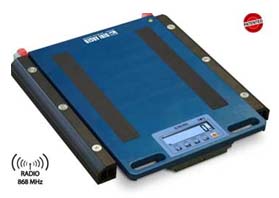 V�ha Dini Argeo WWSCRF